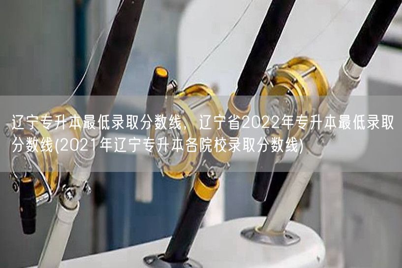 辽宁专升本最低录取分数线，辽宁省2022