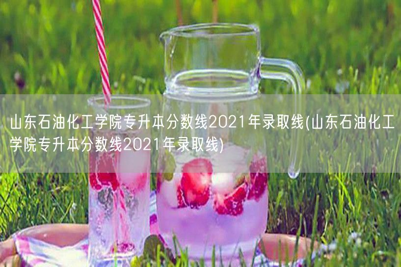 山东石油化工学院专升本分数线2021年录