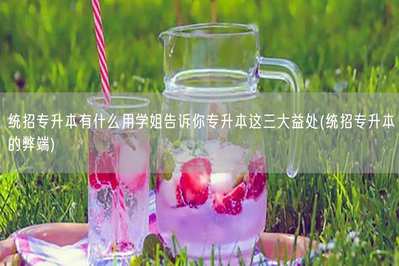 统招专升本有什么用学姐告诉你专升本这三大