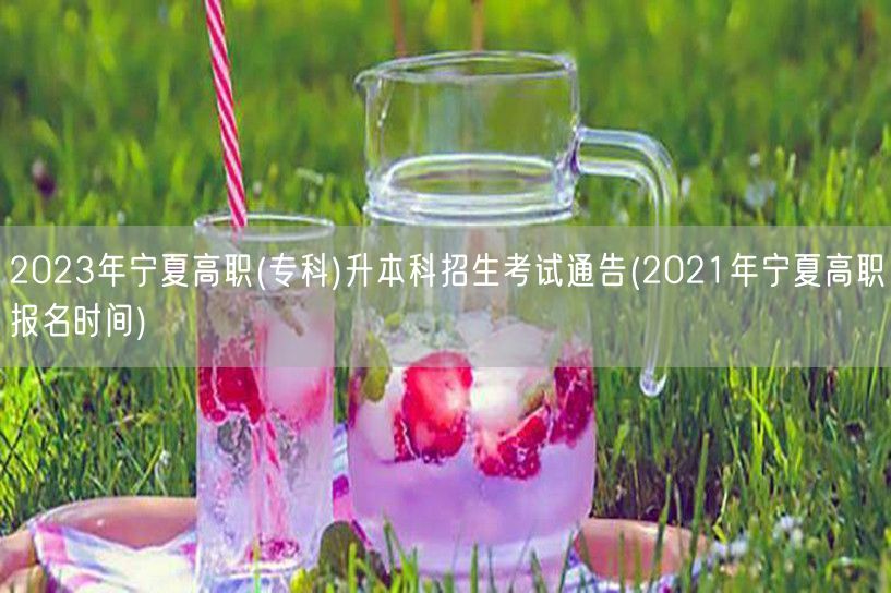 2023年宁夏高职(专科)升本科招生考试