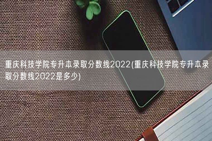 重庆科技学院专升本录取分数线2022(重