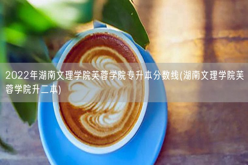 2022年湖南文理学院芙蓉学院专升本分数