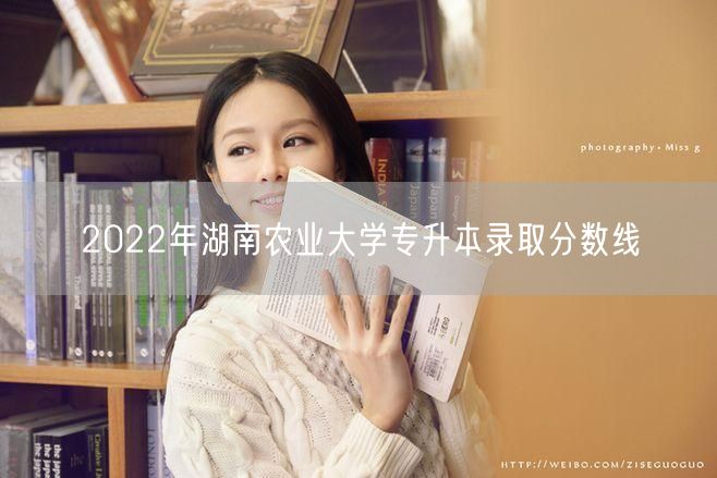 2022年湖南农业大学专升本录取分数线