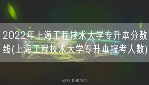 2022年上海工程技术大学专升本分数线(