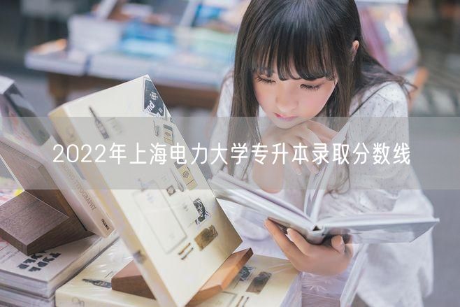 2022年上海电力大学专升本录取分数线