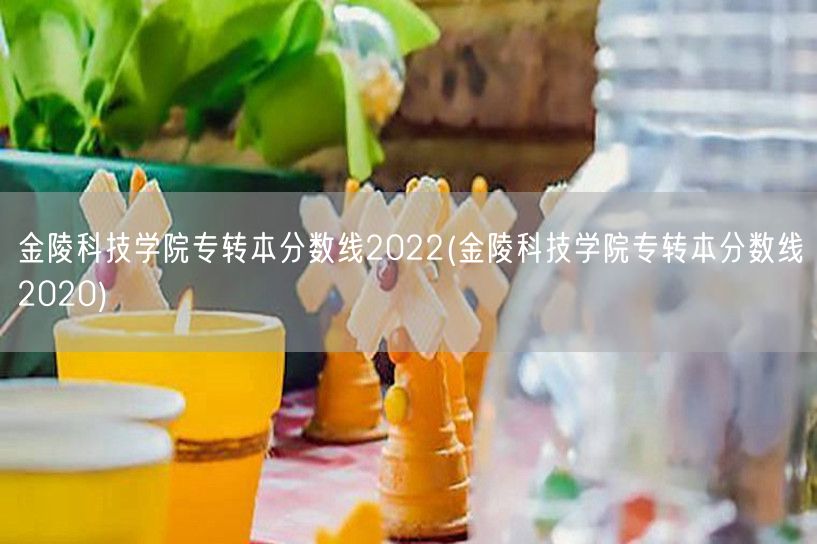 金陵科技学院专转本分数线2022(金陵科