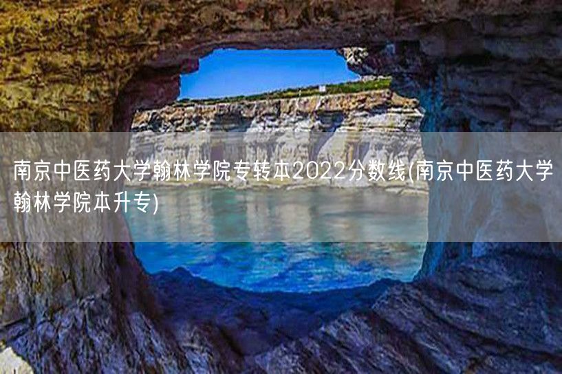 南京中医药大学翰林学院专转本2022分数