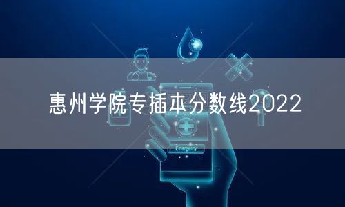 惠州学院专插本分数线2022