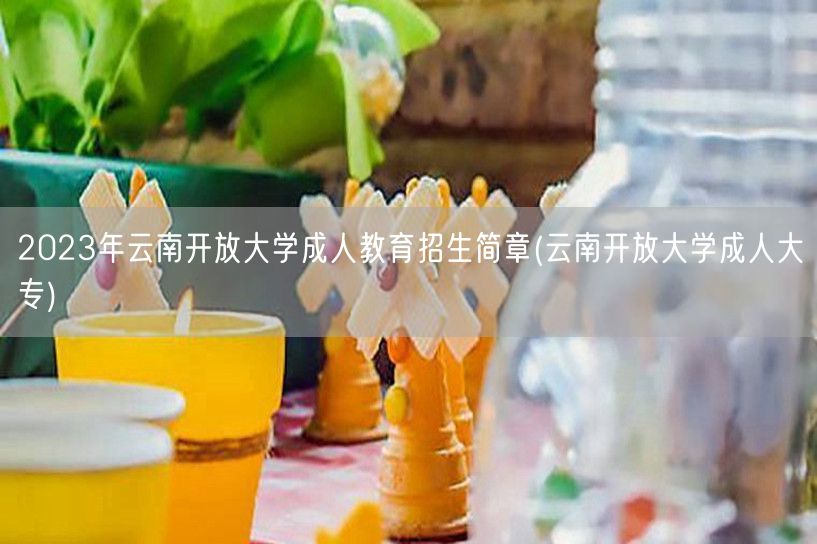 2023年云南开放大学成人教育招生简章(