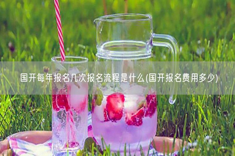 国开每年报名几次报名流程是什么(国开报名