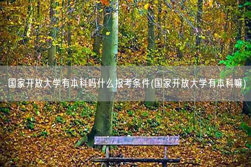 国家开放大学有本科吗什么报考条件(国家开