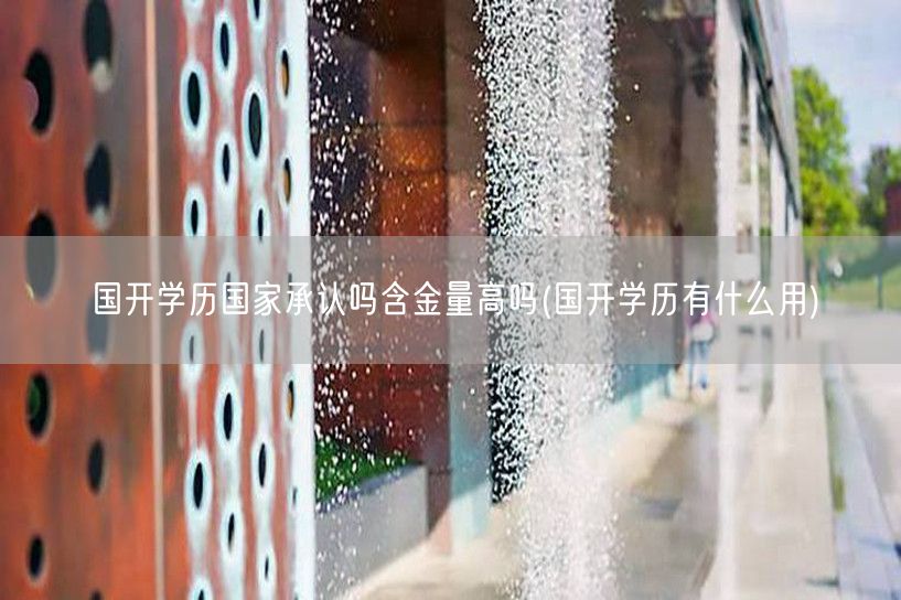 国开学历国家承认吗含金量高吗(国开学历有