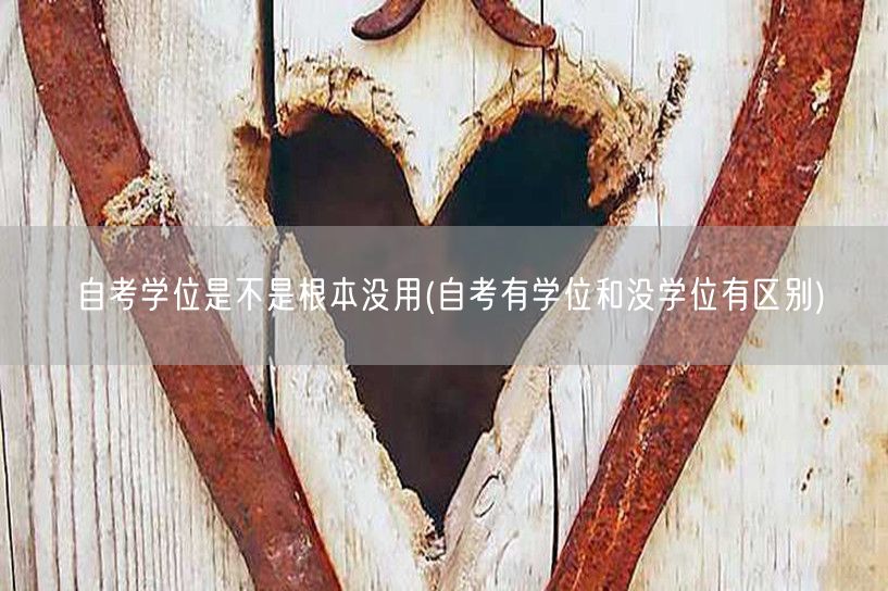 自考学位是不是根本没用(自考有学位和没学