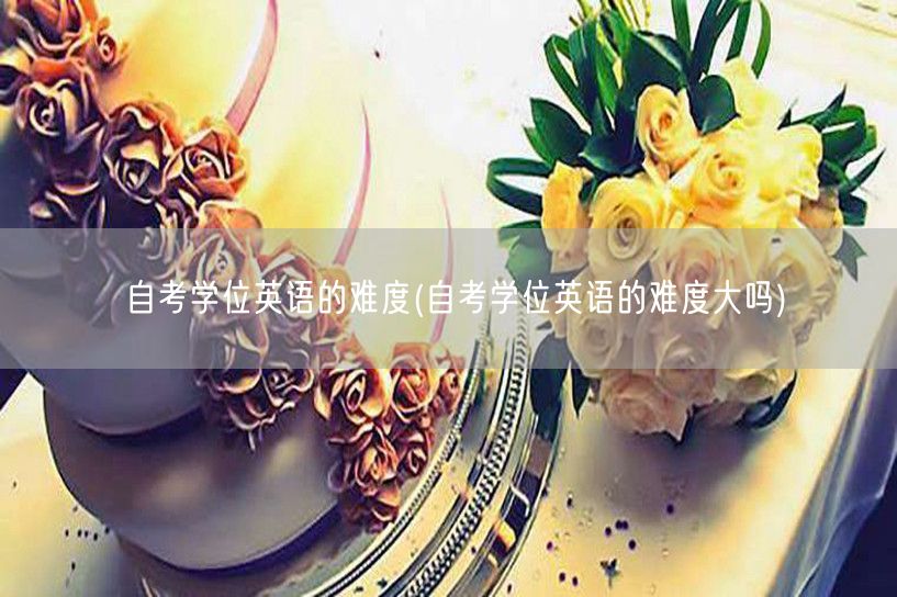 自考学位英语的难度(自考学位英语的难度大