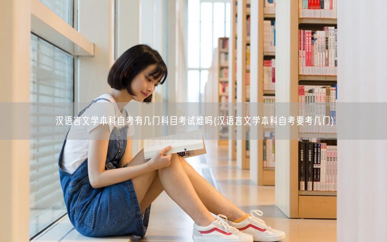 汉语言文学本科自考有几门科目考试难吗(汉