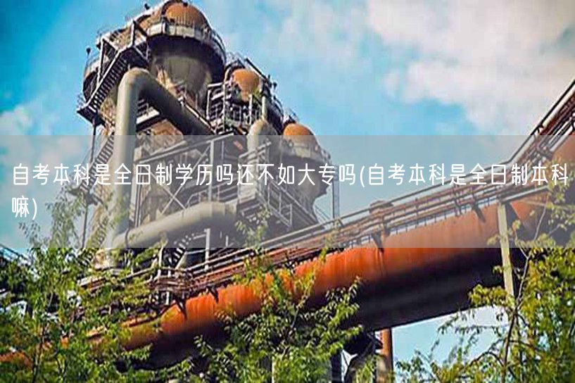自考本科是全日制学历吗还不如大专吗(自考
