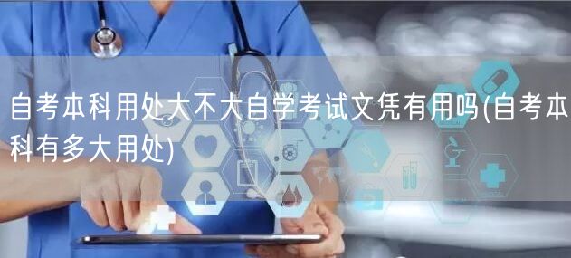 自考本科用处大不大自学考试文凭有用吗(自
