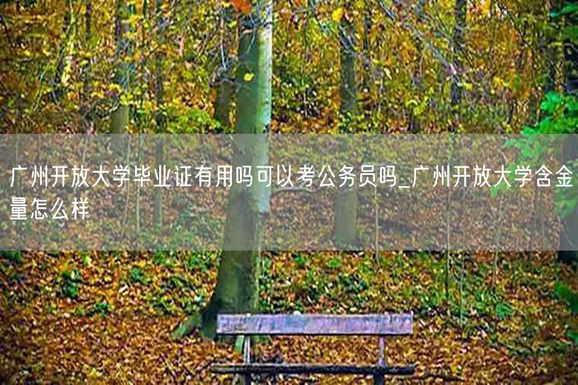广州开放大学毕业证有用吗可以考公务员吗_