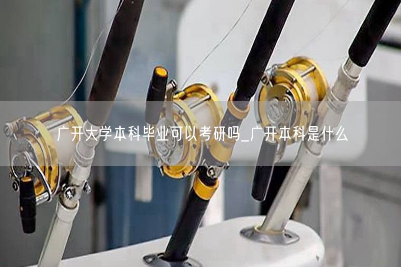 广开大学本科毕业可以考研吗_广开本科是什
