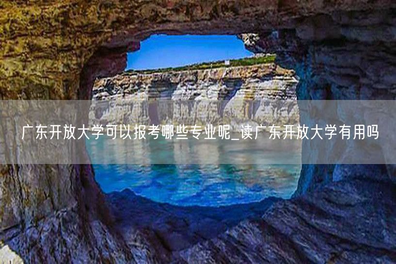 广东开放大学可以报考哪些专业呢_读广东开