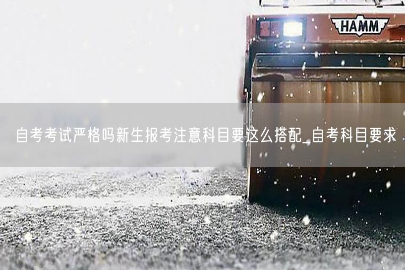 自考考试严格吗新生报考注意科目要这么搭配