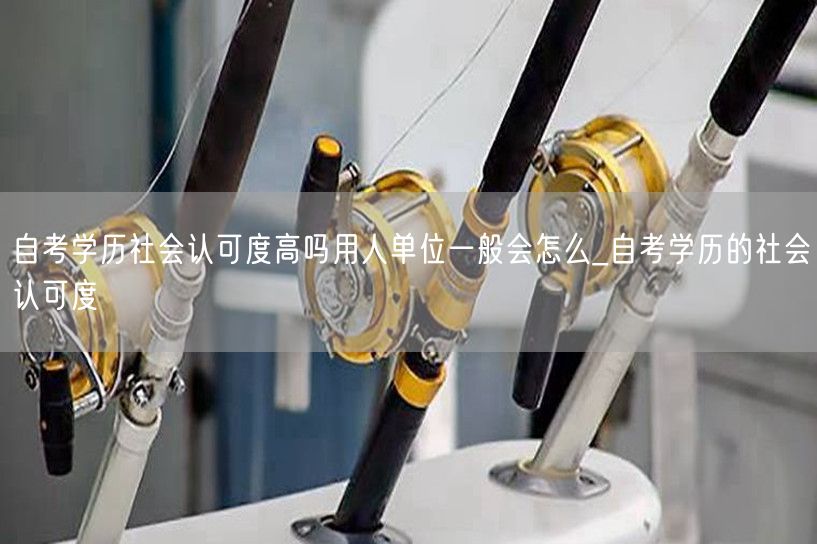 自考学历社会认可度高吗用人单位一般会怎么