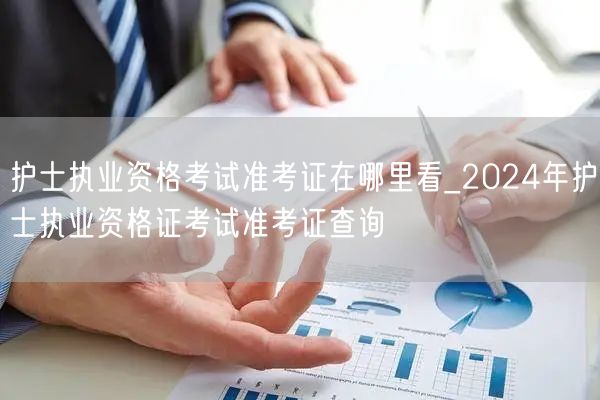 护士执业资格考试准考证查询2024