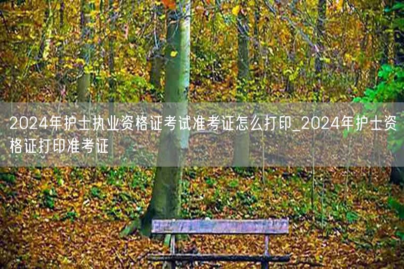 2024护士执业资格证考试准考证打印指南