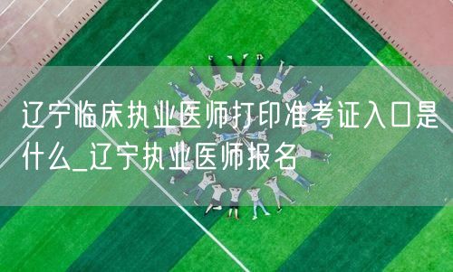 辽宁临床执业医师准考证打印及报名入口