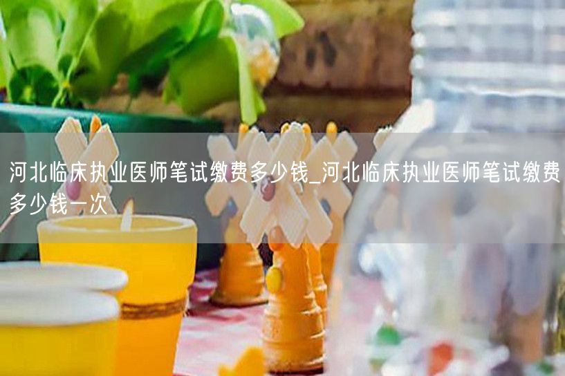 河北临床执业医师笔试单次缴费费用