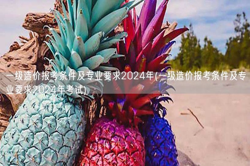 一级造价报考条件及专业要求2024年 官