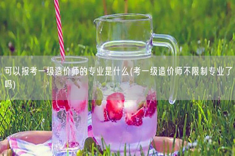 可以报考一级造价师的专业是什么 报考一级
