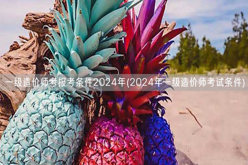 一级造价师报考条件2024年 最新资格要