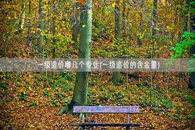 一级造价哪几个专业 含金量高解析