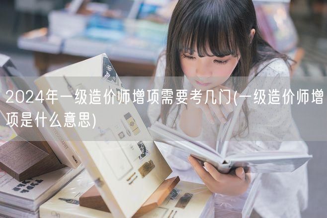 2024年一级造价师增项考试科目概览及意