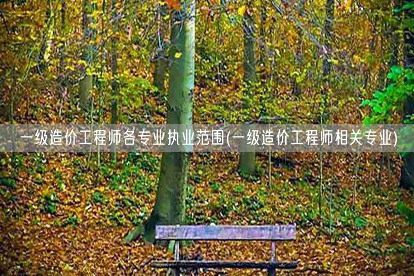 一级造价工程师各专业执业范围 涵盖领域详