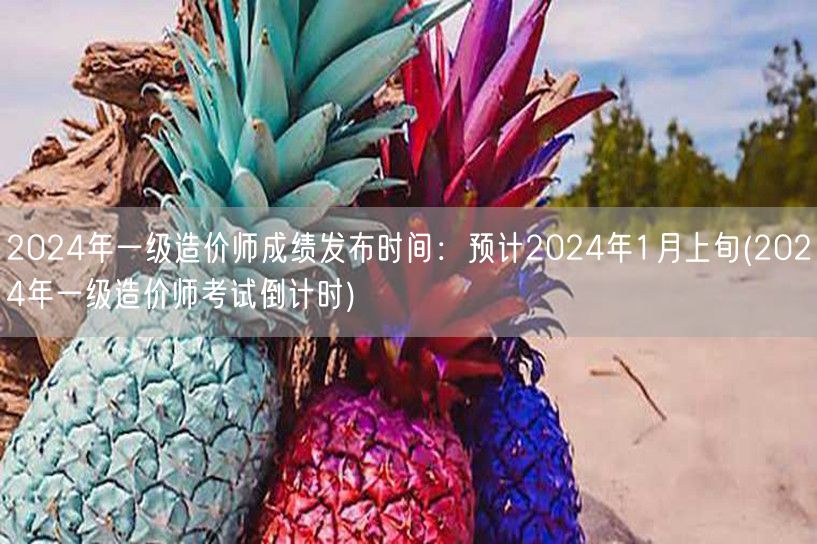 2024年一级造价师成绩发布时间：预计2