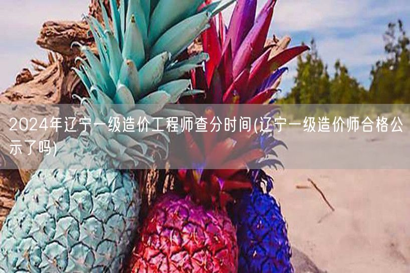 2024年辽宁一级造价工程师查分时间 成