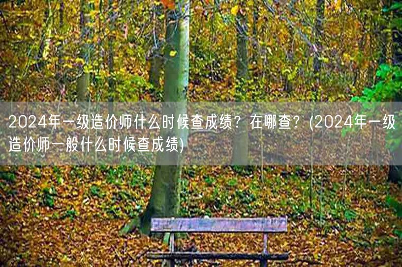 2024年一级造价师成绩查询时间及地点