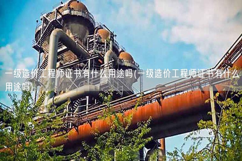 一级造价工程师证书有什么用途吗 实用价值