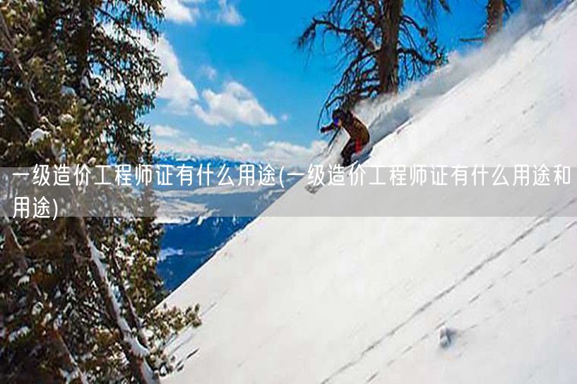 一级造价工程师证有什么用途 职场必备 含