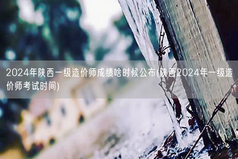 2024年陕西一级造价师成绩公布时间预测