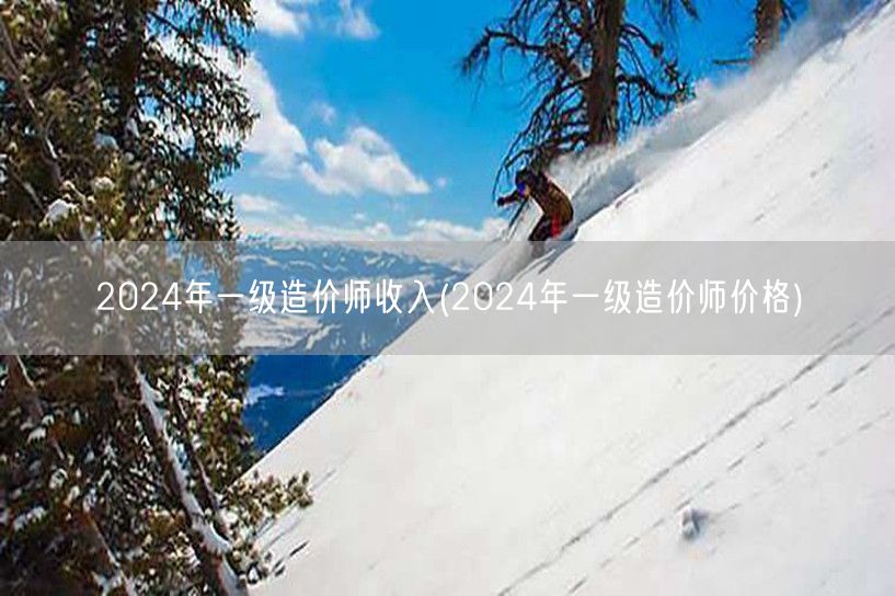 2024年一级造价师收入 薪资水平展望