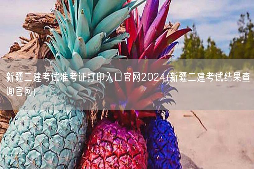 新疆二建考试准考证打印入口官网2024 