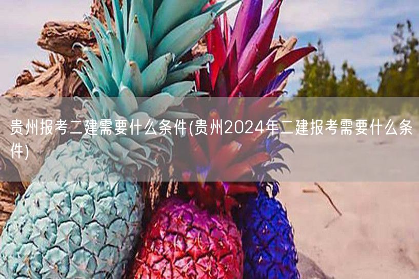 贵州报考二建需要什么条件 2024年报考