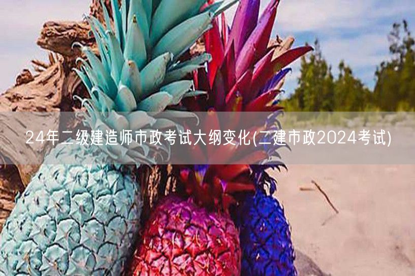 24年二级建造师市政考试大纲变化 202