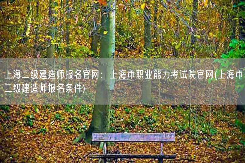 上海二级建造师报名官网：上海市职业能力考