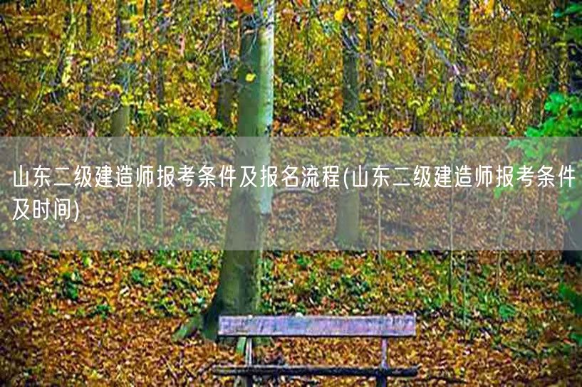 山东二级建造师报考条件及报名流程 报名时