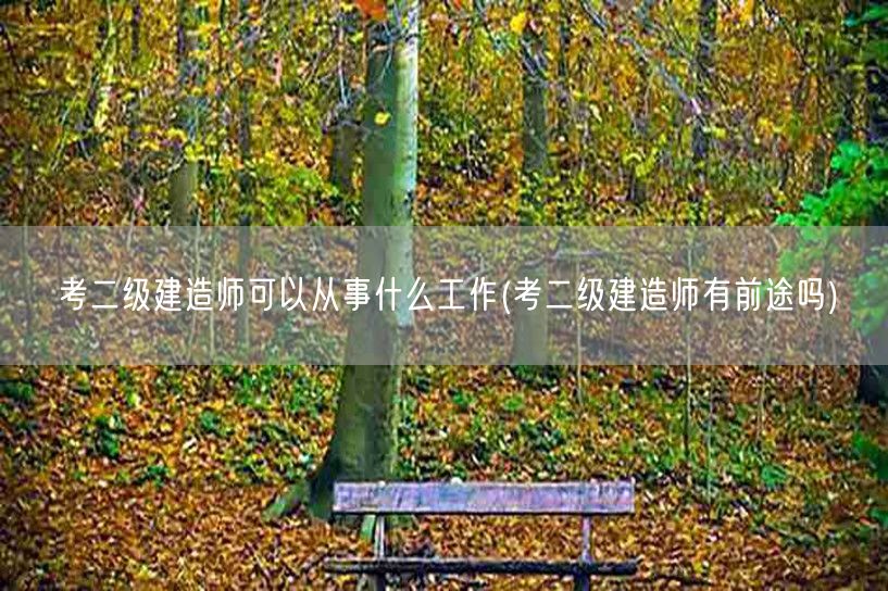 考二级建造师可以从事的工作及前景展望