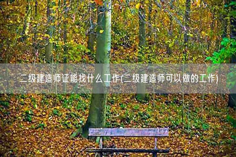 二级建造师证能找什么工作 就业前景与岗位